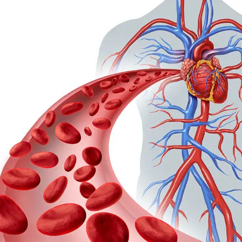 Peptide Therapy Consultation