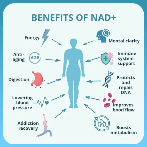 NAD+ IV Drip